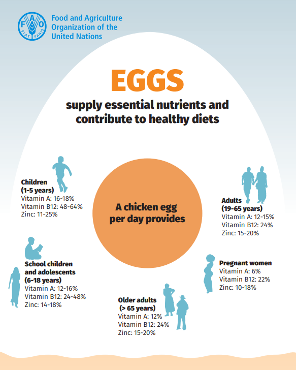 EGGS THE NUTRITION SOURCE visual data 6